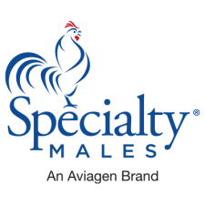 Specialty Males