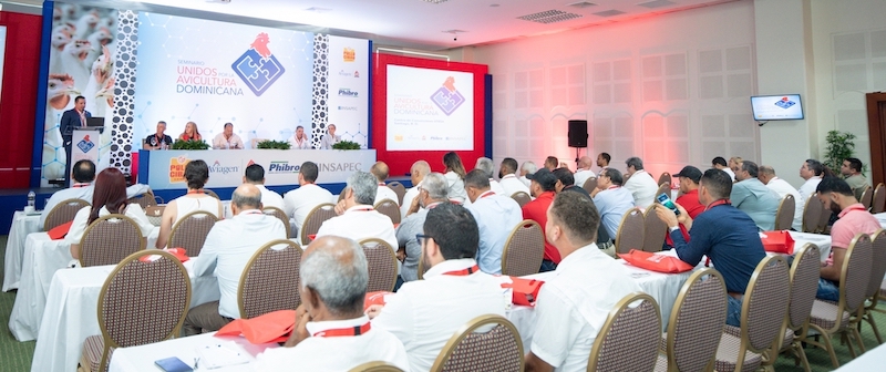 Participants at workshop watch the presentation