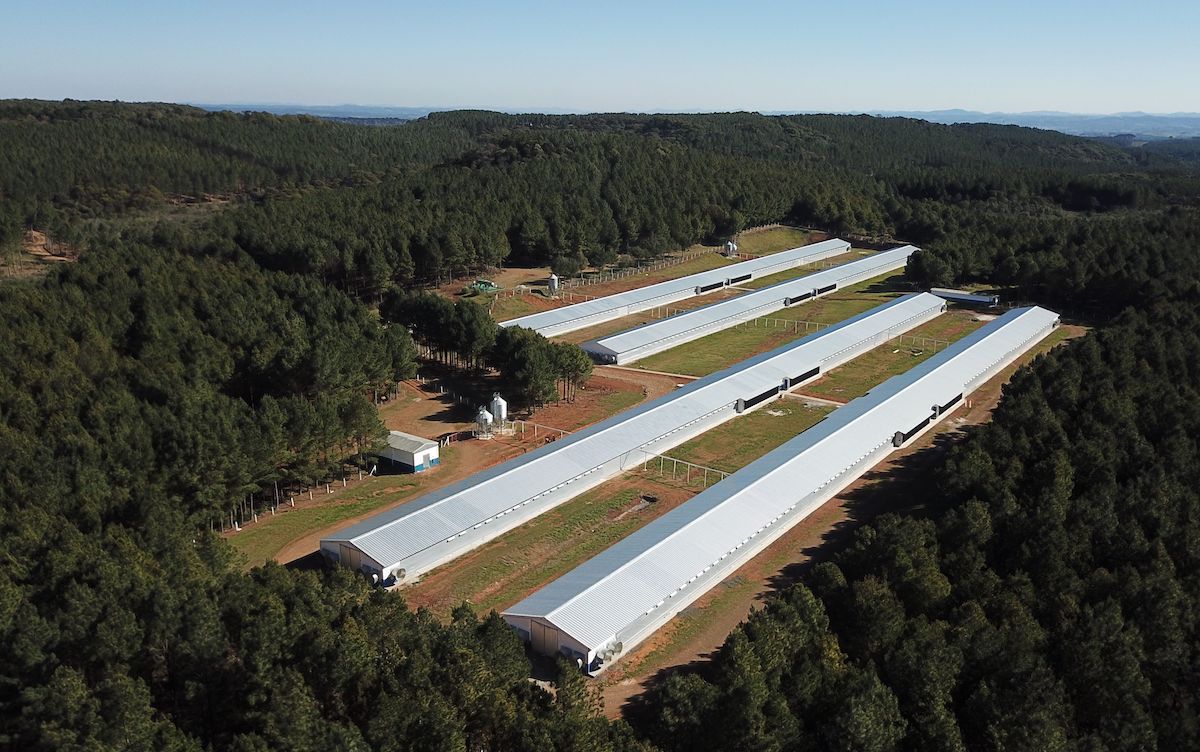 Aerial photo of Farm in Santa Catarina, Brazil